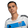 Player cutout