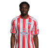 Player cutout