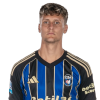 Player cutout