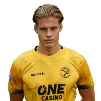 Joël van der Wilt profile image