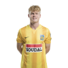 Player cutout