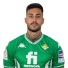 Player cutout