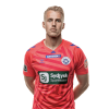 Player cutout