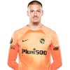 Player cutout