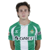 Player cutout