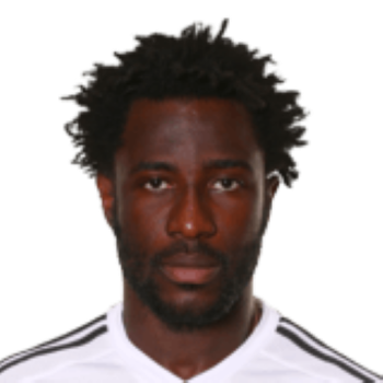Wilfried Bony profile image