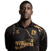 Player cutout
