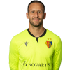 Player cutout