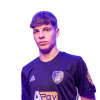 Player cutout