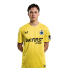 Player cutout
