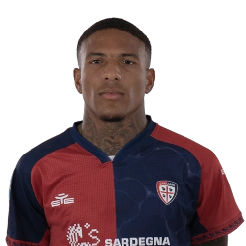 마이클 폴루론쇼