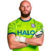 Player cutout