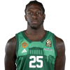 Player cutout