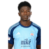 Player cutout