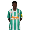 Player cutout
