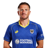 Player cutout