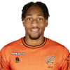 Player cutout