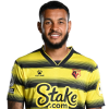 Player cutout
