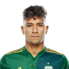 Player cutout