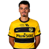 Player cutout