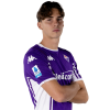 Player cutout