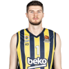 Player cutout