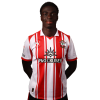 Player cutout