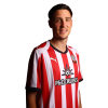 Player cutout