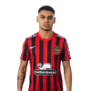 Player cutout