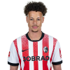 Player cutout