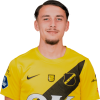 Player cutout