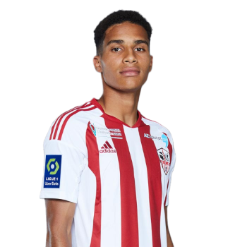 Yanis Cimignani profile image