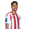 Player cutout
