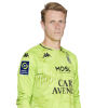 Player cutout