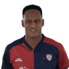 Player cutout