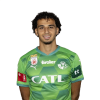 Player cutout