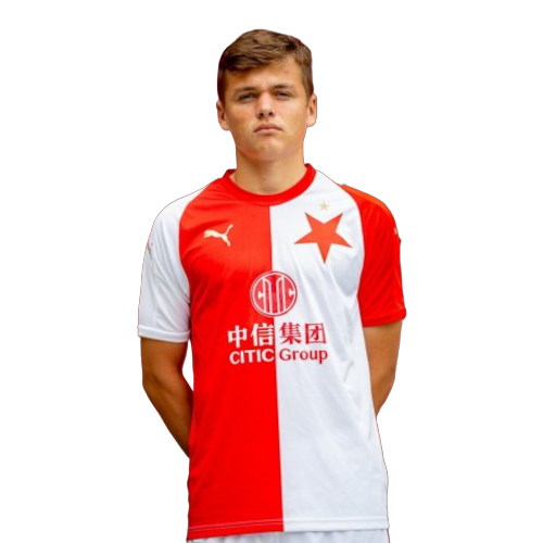Denis Visinský