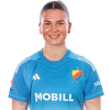 Player cutout