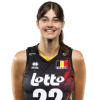 Player cutout