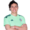 Player cutout