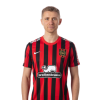 Player cutout