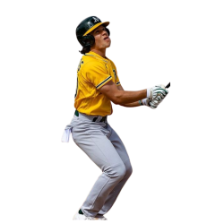 player render