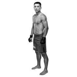 Player render