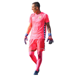player render