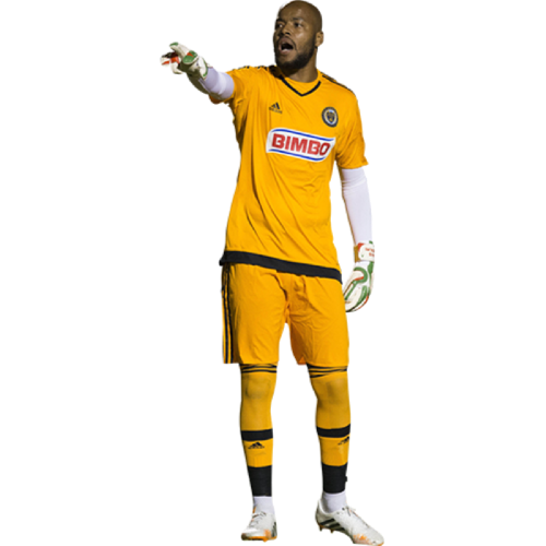 Raïs M'Bolhi profile image