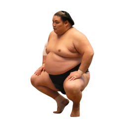 player render