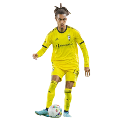 Player render