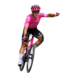 Player render