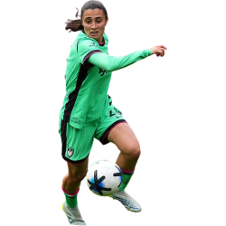 Player render