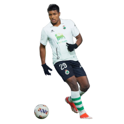 Player render
